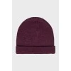 Men's purple wool hat