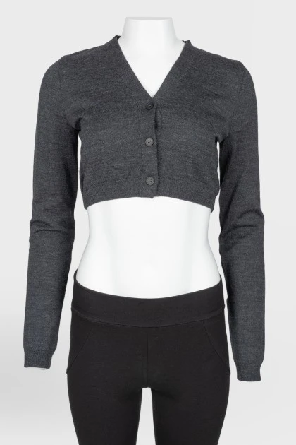 Woolen gray top with a long sleeve with a tag