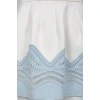 Blue lace skirt